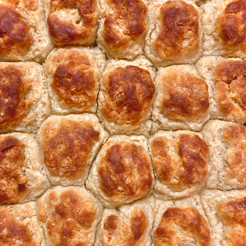 Shreveport Biscuit Company - photo 2