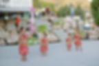 Pauni Island Grill Catering & Entertainment - photo 2