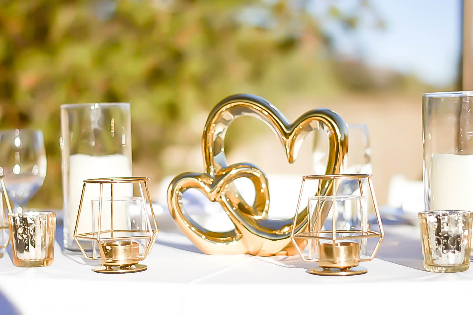 Amore Events Tucson - photo 3