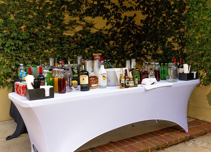Mobile Bartender Mobile AL - photo 4
