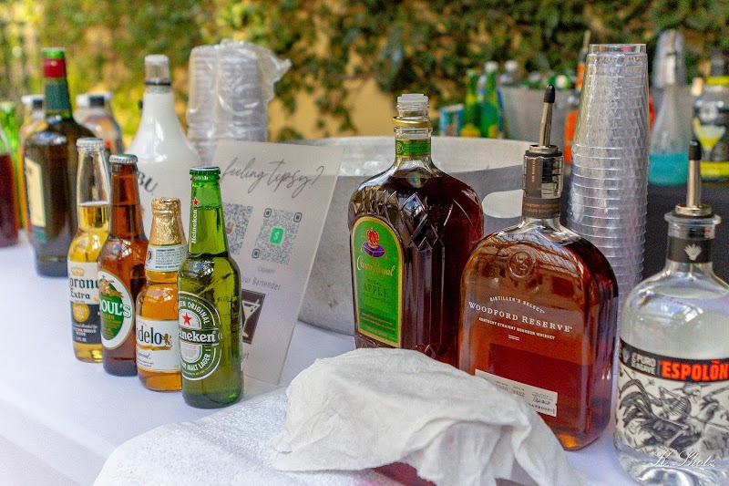 Mobile Bartender Mobile AL - photo 5