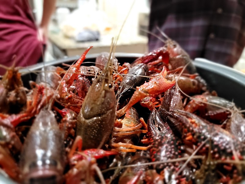 The Crawfish Co. - photo 3