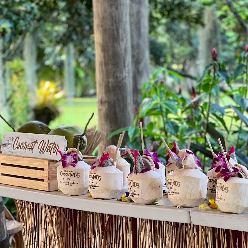 Coco Reserve Miami - Premium Fresh Coconuts. Organic - photo 5