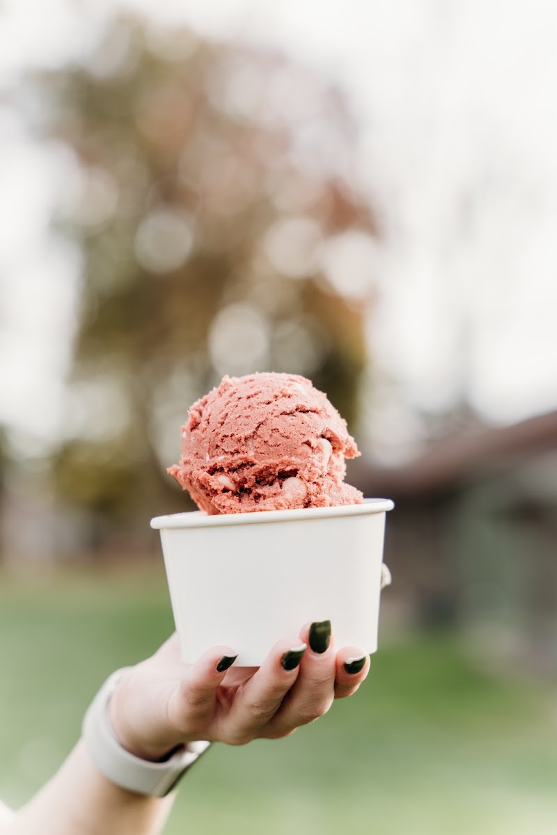 Scoop Ó Dough - photo 4
