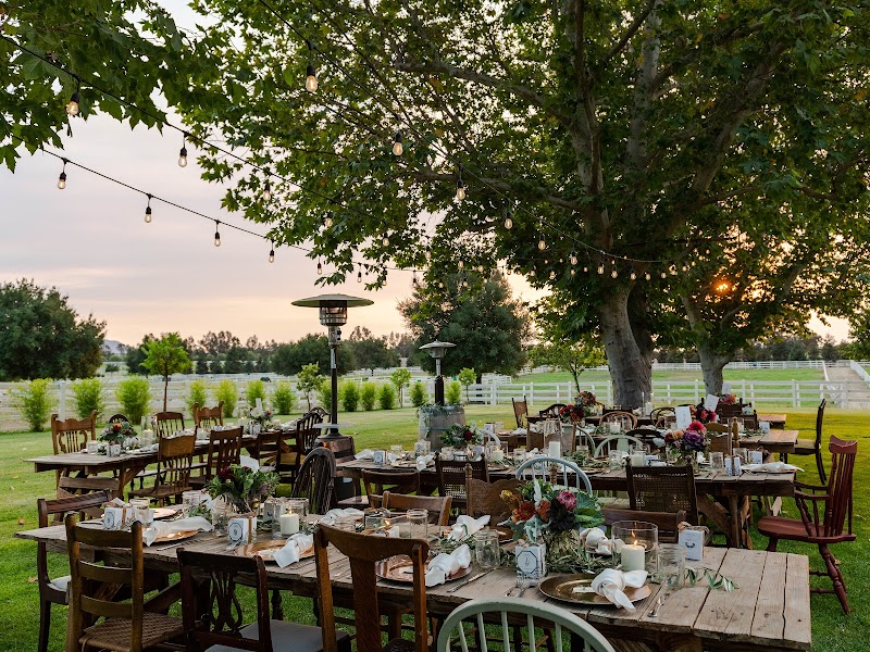 All Purpose Flower Fine Catering & Events - photo 4