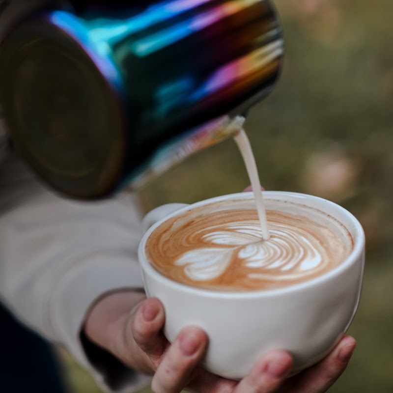 The Roaming Cup - photo 4