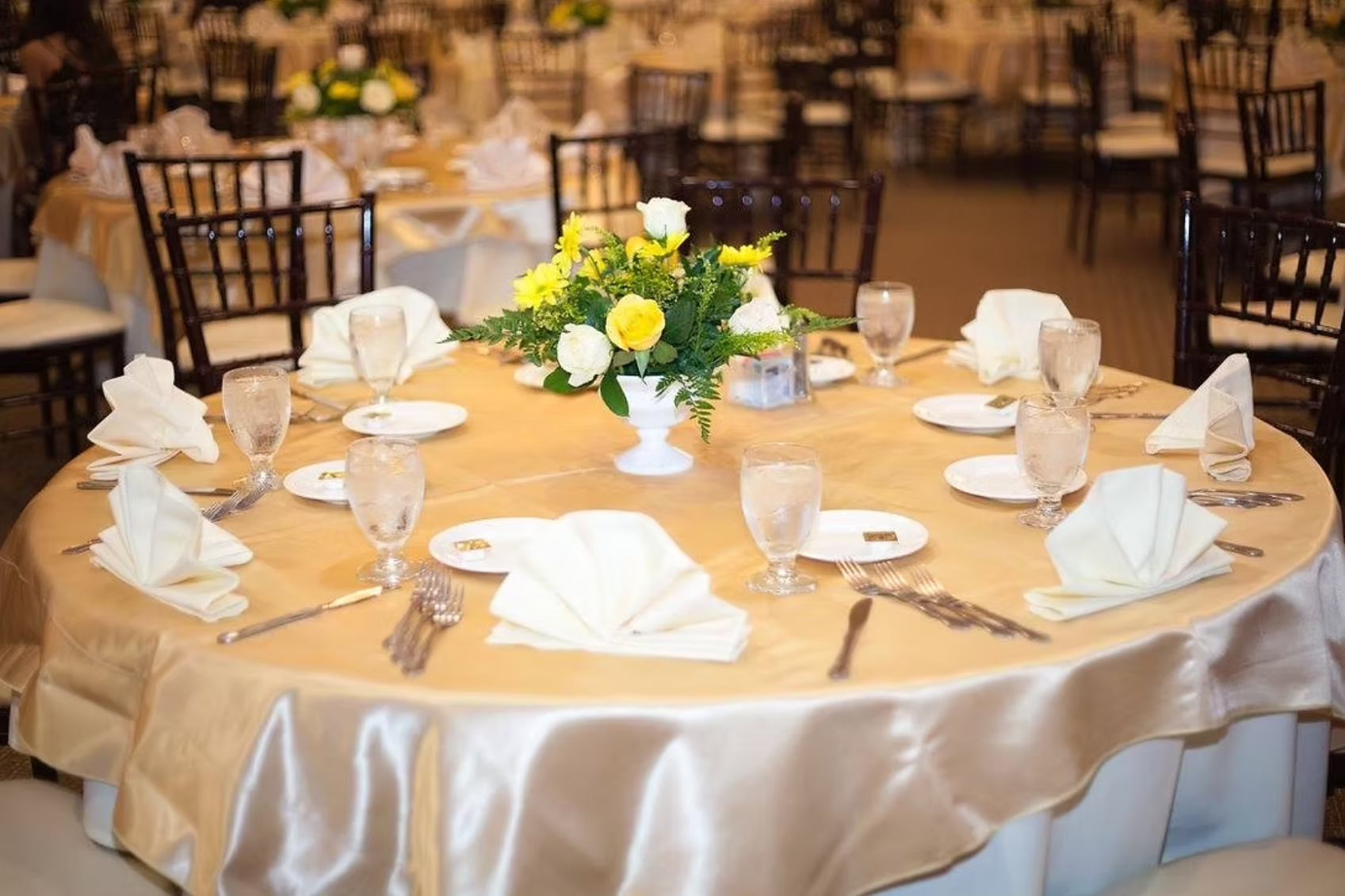 Ashley's Party Rentals and Catering - photo 4