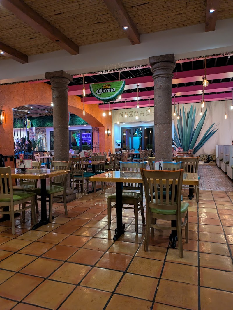 deMaiz Taco Cantina - photo 5