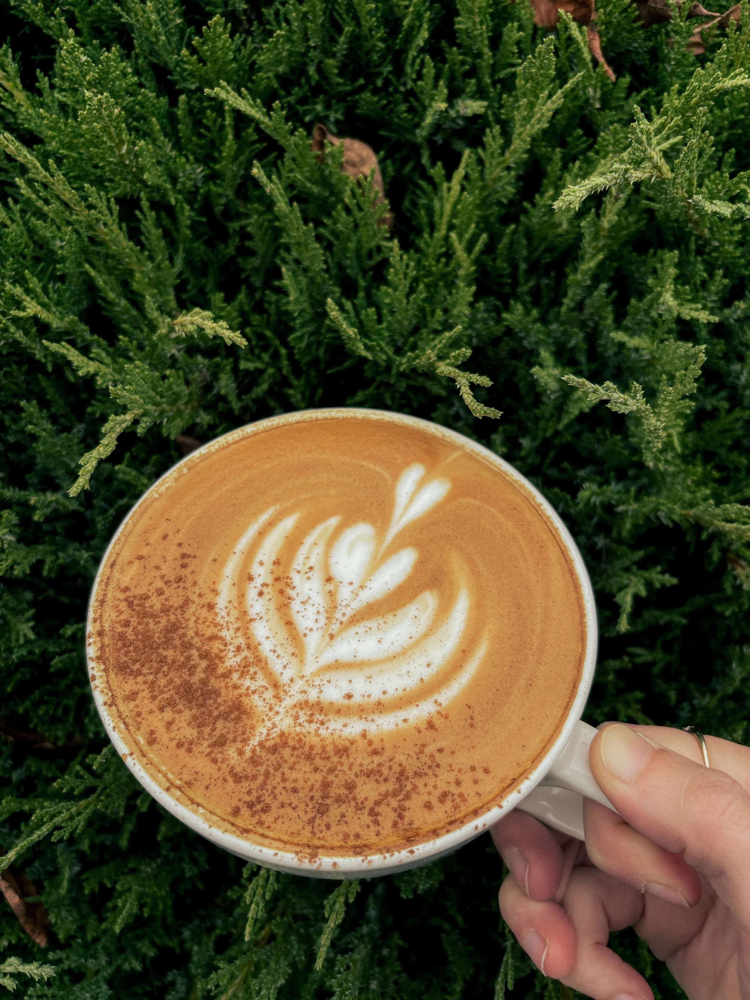Imagine Coffee Co. - photo 5