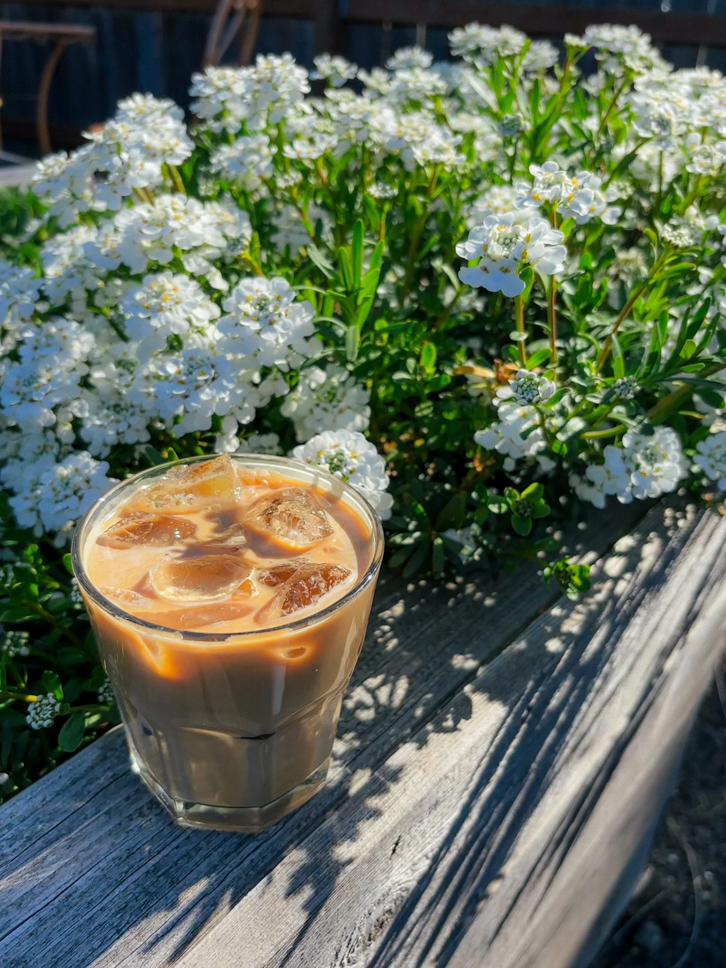 Imagine Coffee Co. - photo 4