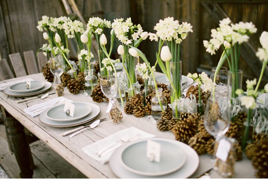 Susan LeClair LLC Catering - photo 3