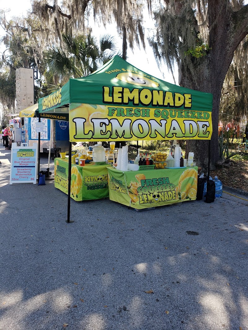 Ono Hot Dog Cart and Catering Lemonade and Shaved Hawaiian Ice - photo 3