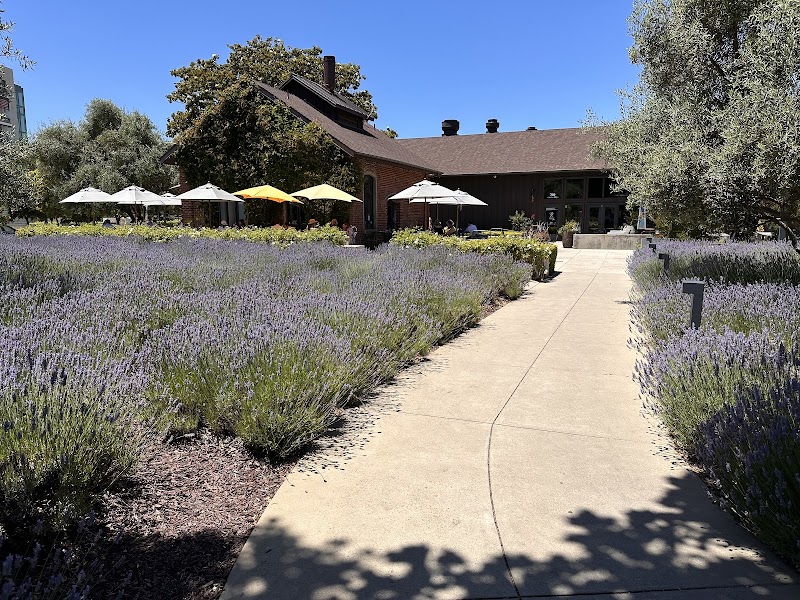 Tootsie's At The Stanford Barn - photo 3