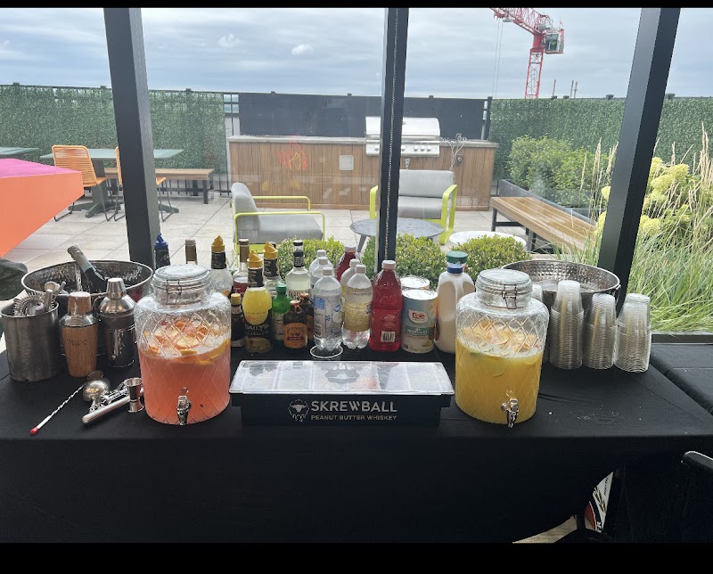 Pour 2 Your Door Mobile Bartending - photo 2