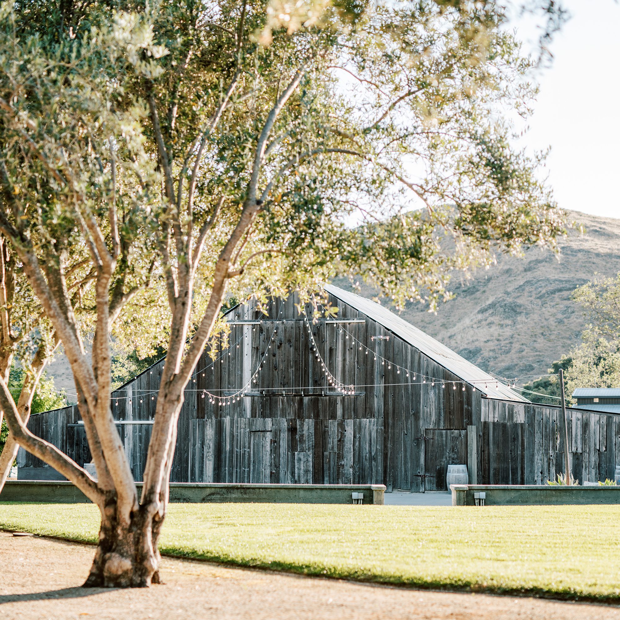 Higuera Ranch - photo 5