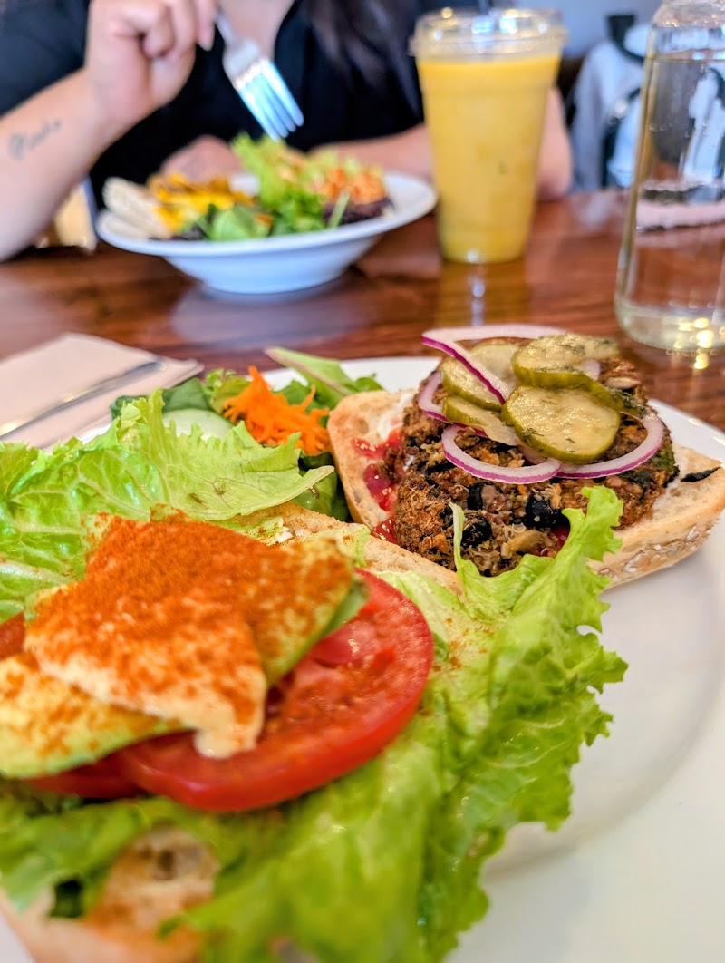 Ginger's Garden Cafe - photo 3