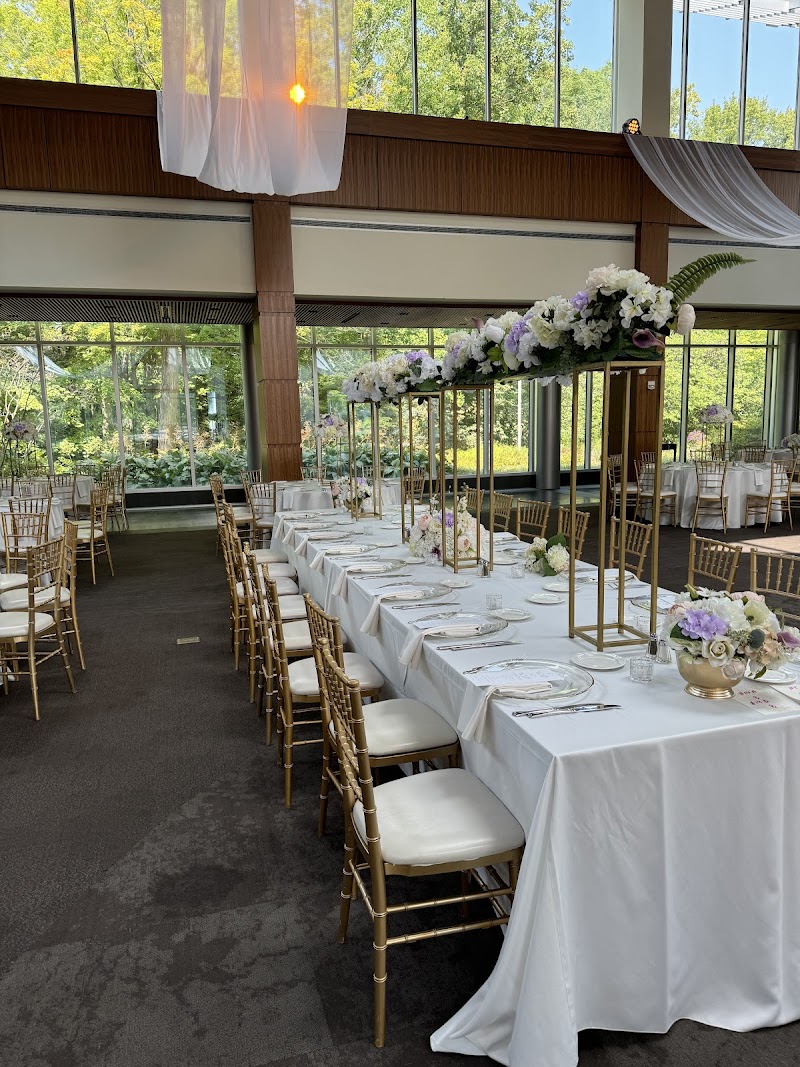 Ace Party Rental - photo 5