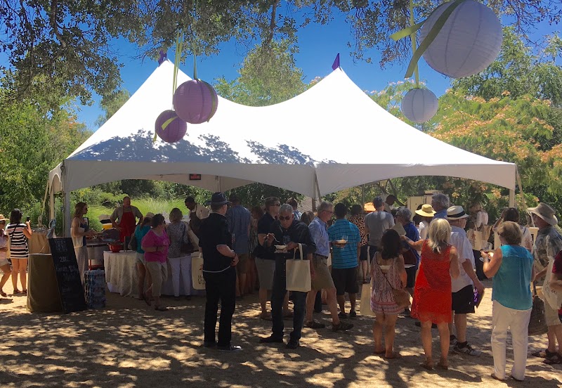 Yay!Paella Catering - photo 3