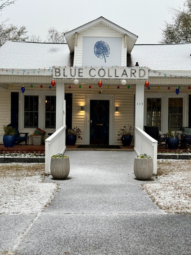 Blue Collard - photo 5