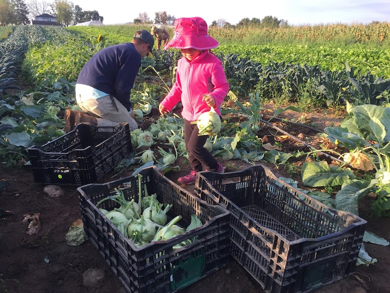 Of The Land Farm - photo 5
