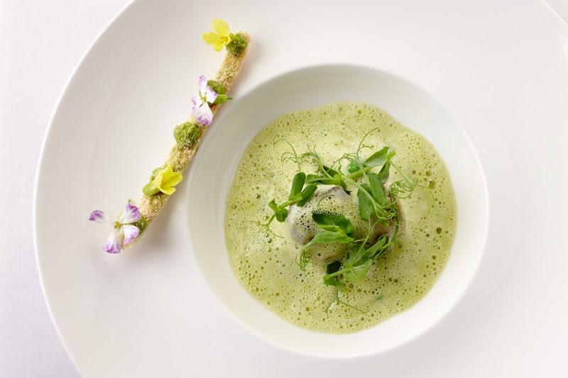 Chef's Culinary Journey - photo 5