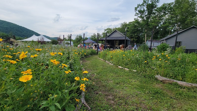 Notch View Cidery - photo 4