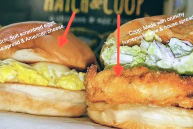 Hatch & Coop - photo 5