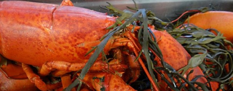Cuisine en Locale - photo 2