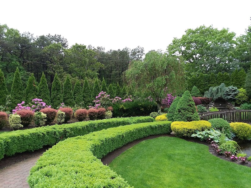 The Vineyard at East Wind - photo 4