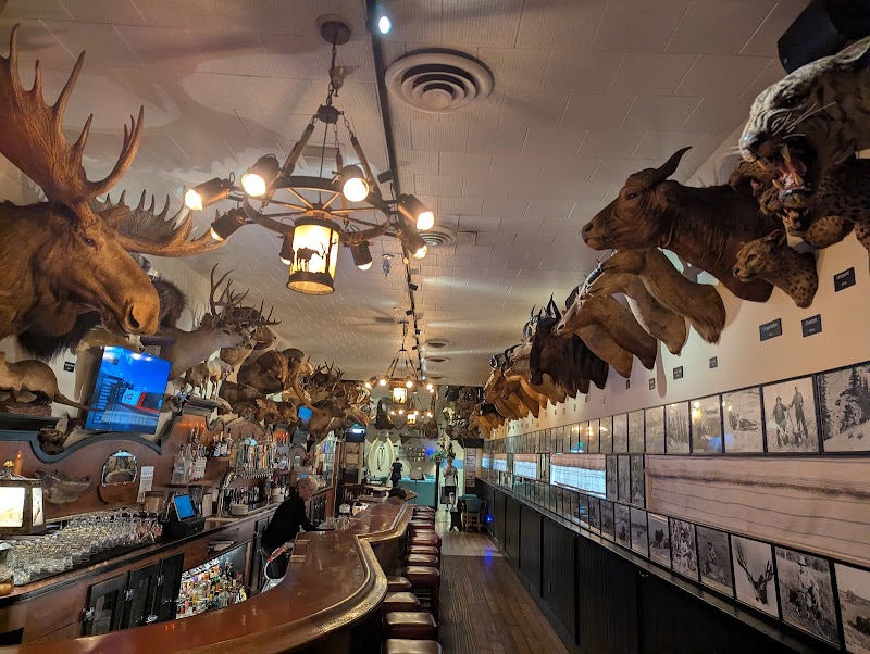 Foster's Bighorn - photo 5