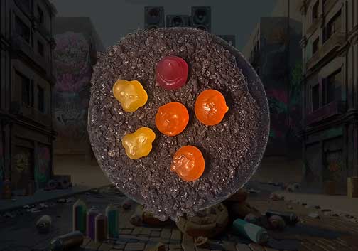Cookie Plug - photo 4