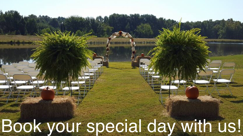 Serenity Springs - photo 3
