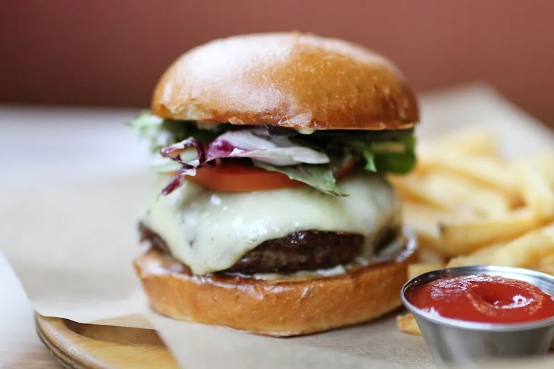 Lazy Dog Restaurant & Bar - photo 3