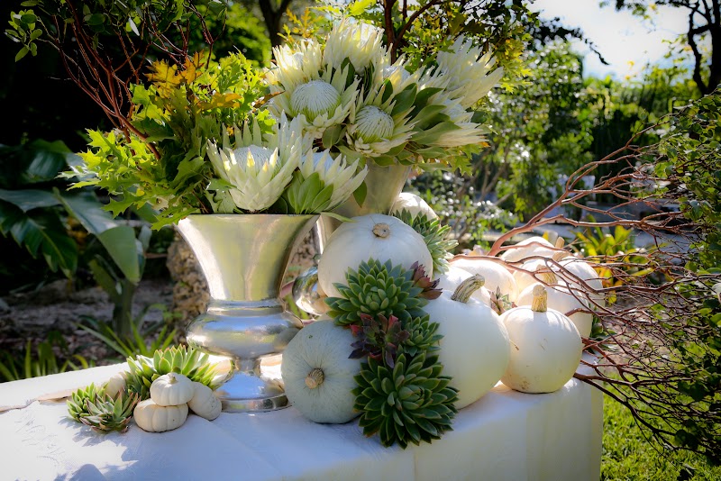 Lasso the Moon - Catering in Miami, Florida