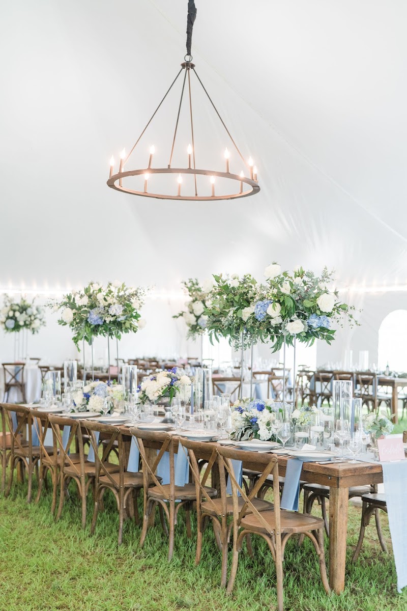 Alexandra Madison Weddings - photo 3