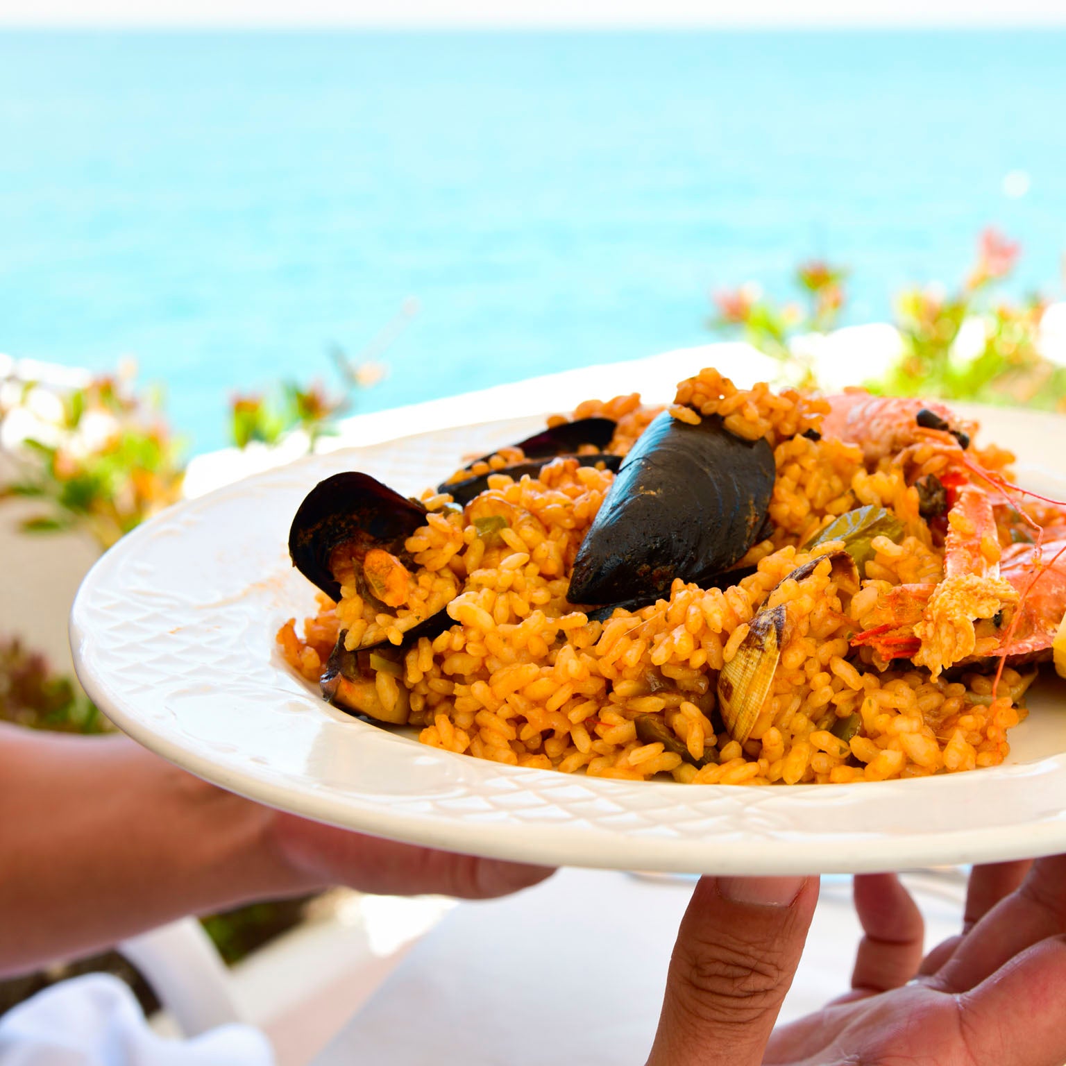 Driana Catering/Taste of Spain - photo 5