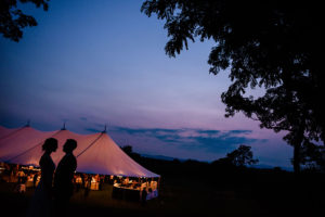 Pink House Farm - photo 2