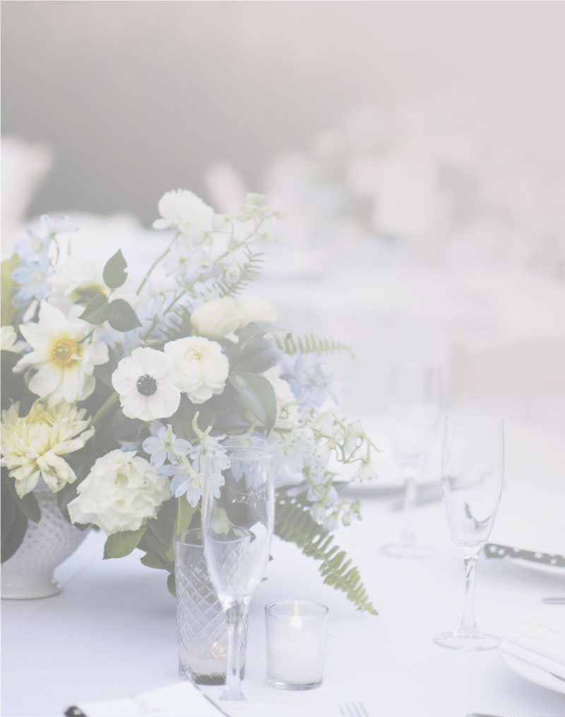 The Vineyards of Mapleville Manor - Catering in Boonsboro, Maryland