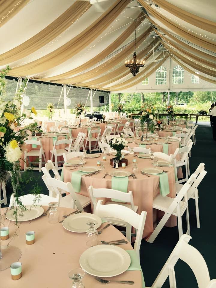 Special Occasion Rentals - photo 2