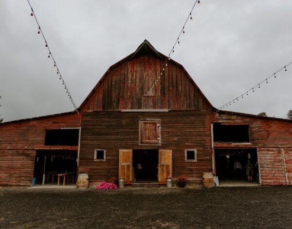The Wedding Resource Guide - photo 2
