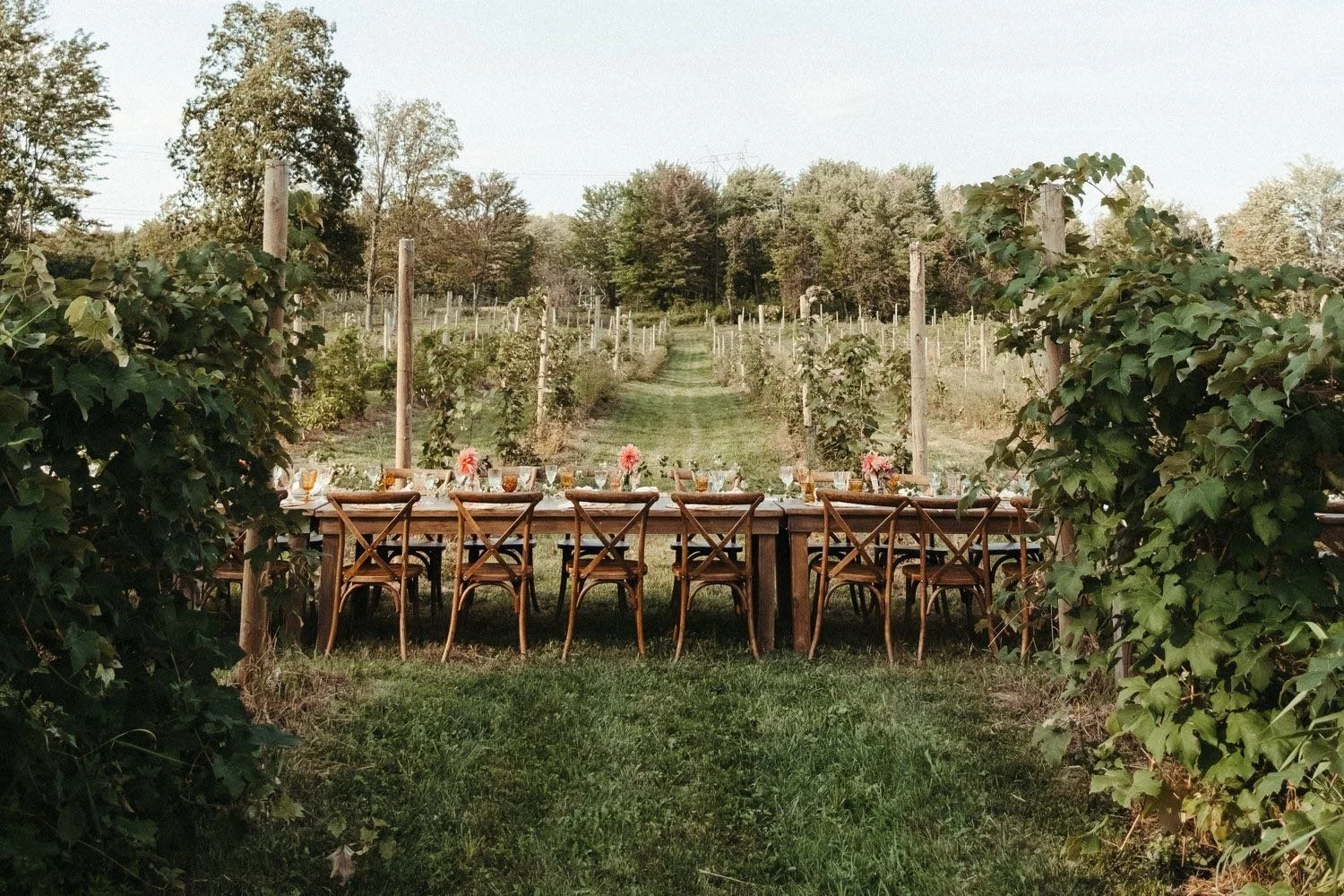 Cleveland Field Kitchen - photo 4
