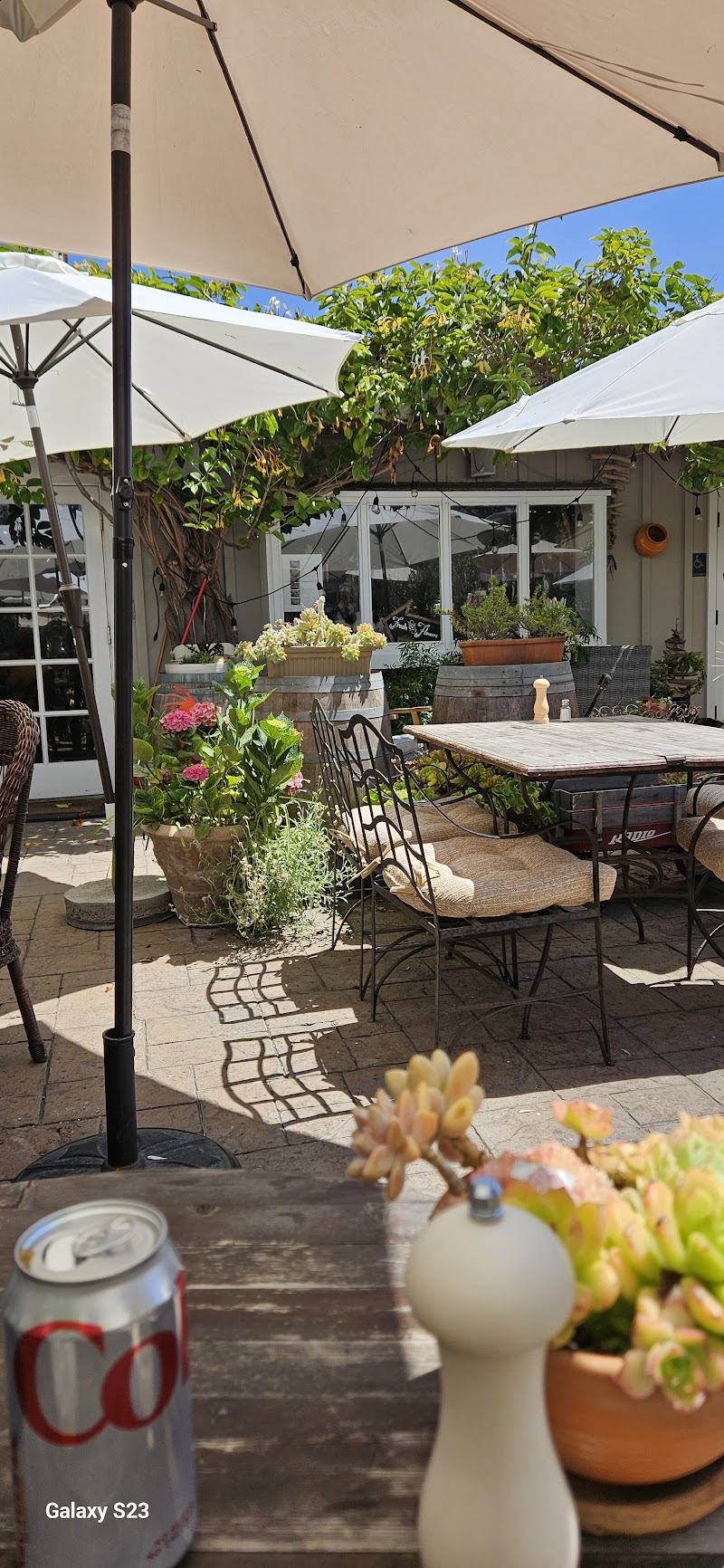 The Garden Market - photo 4