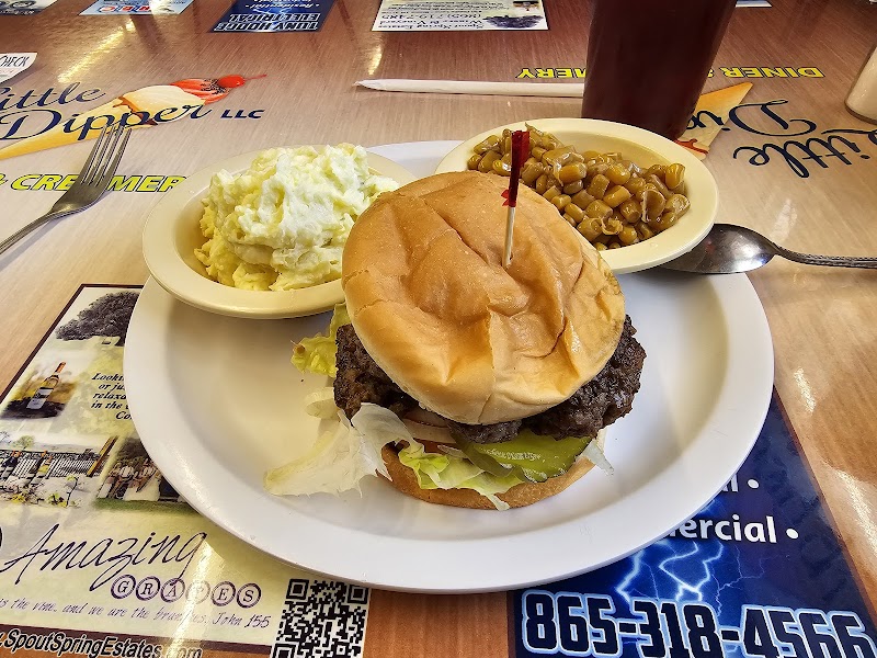 Little Dipper Diner & Creamery - photo 5