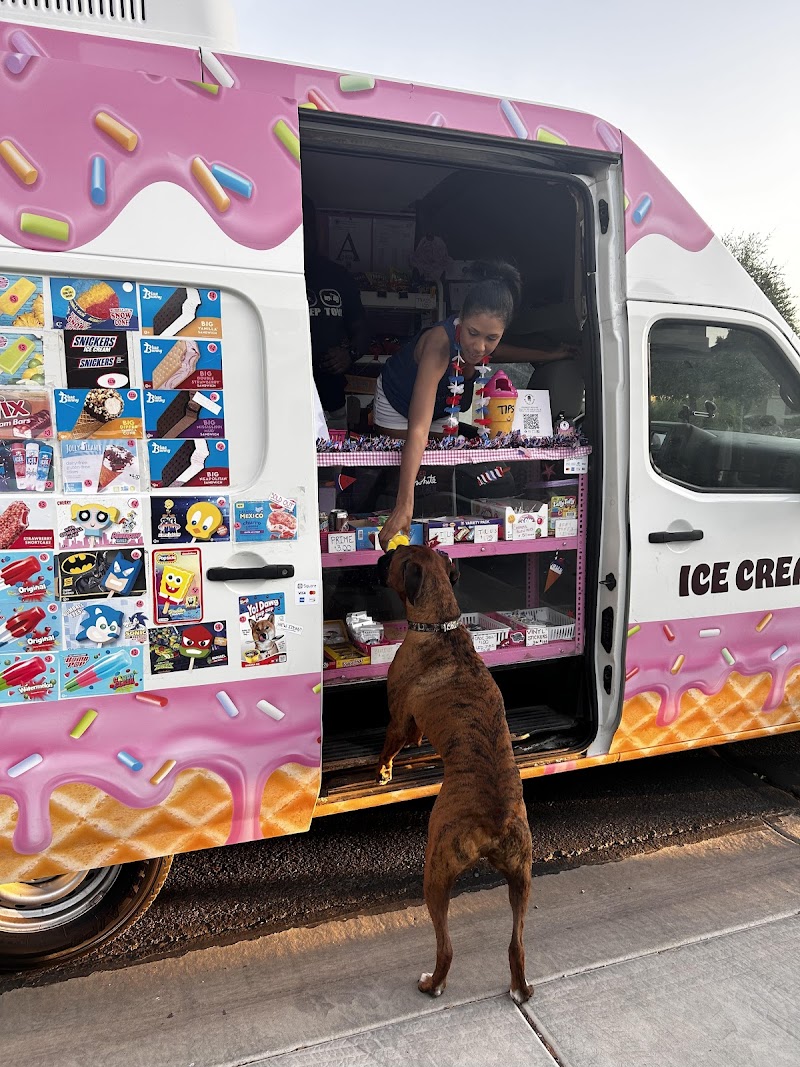 Nikki Sweets Ice Cream & Treats - photo 4