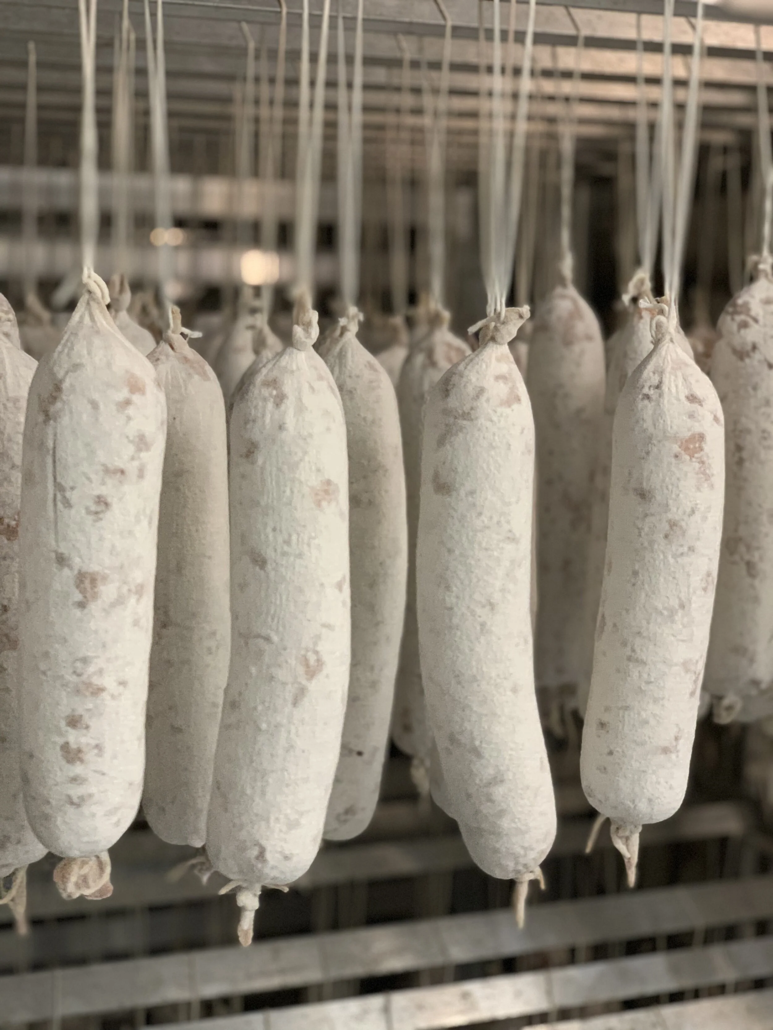 Babette's Table - photo 2