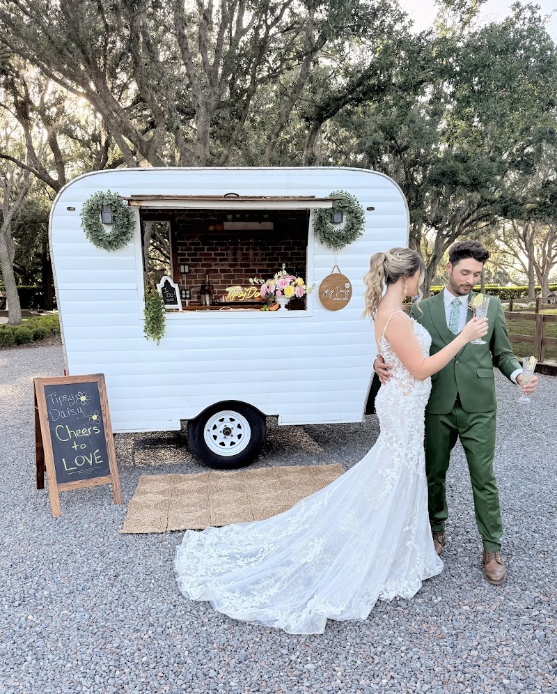 Tipsy Daisy Mobile Bar by Colleen Kelly - photo 2
