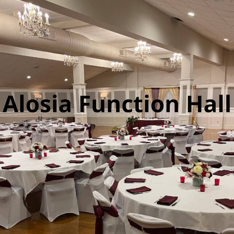 Alosia Function Hall - photo 2