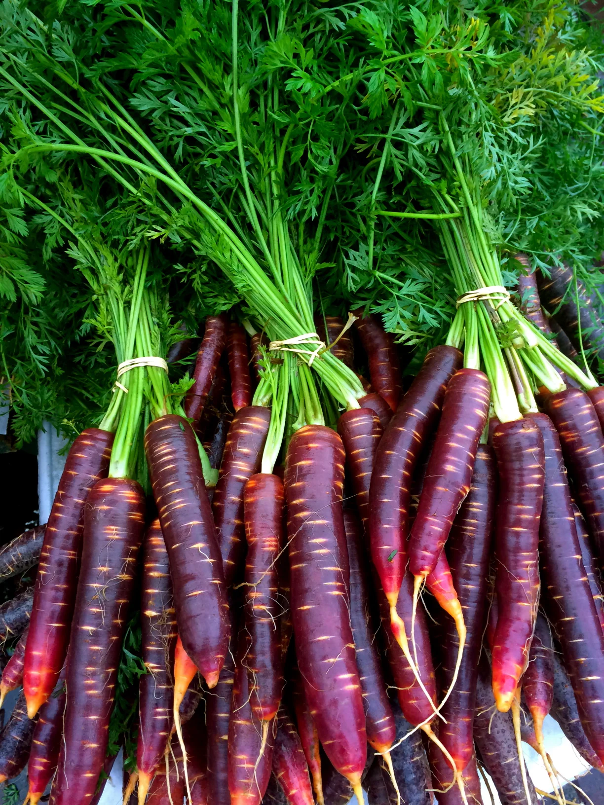 Vermont Farms Catering - photo 3