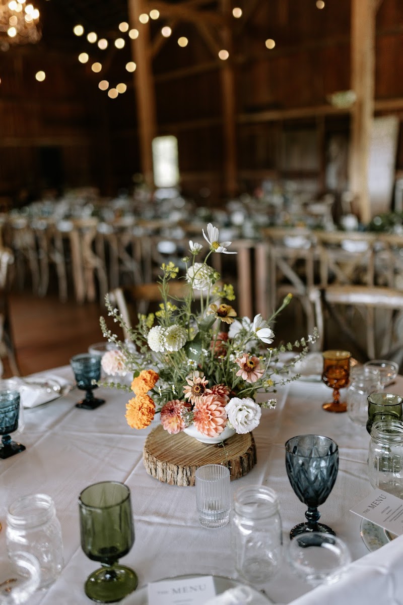CK Catering - photo 4