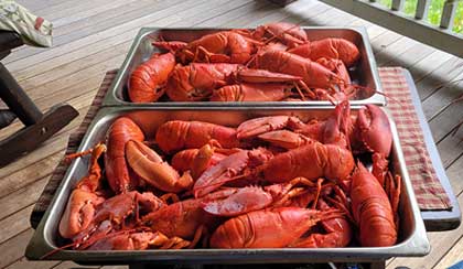 Well Dressed Hog BBQ and Catering - Catering in New Durham, New Hampshire